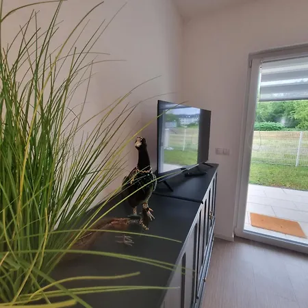 Ferienwohnung Im Palais Am See Am Goitzschesee Bitterfeld-Wolfen Room photo