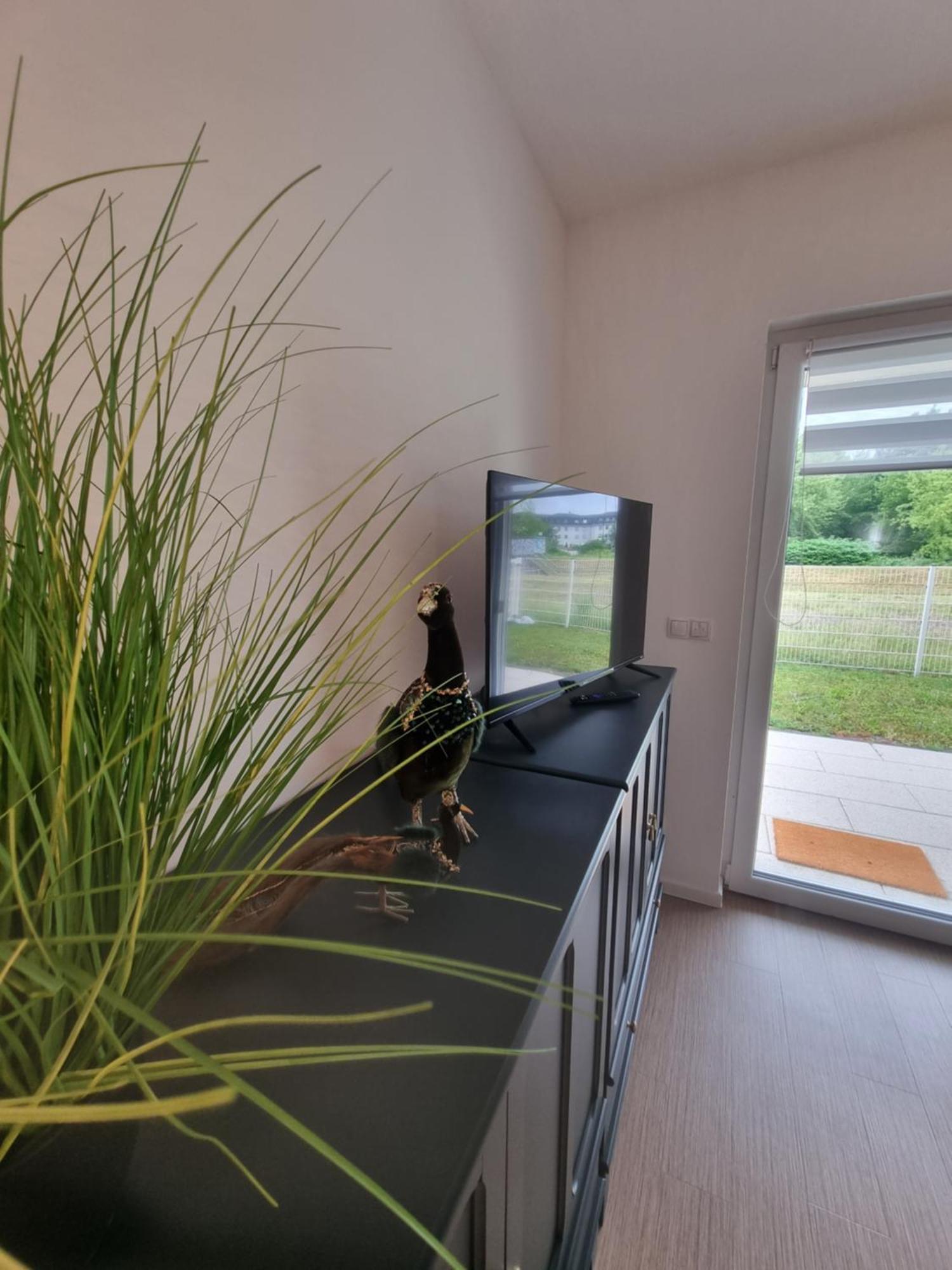 Im Palais Am Am Goitzschesee Apartment *